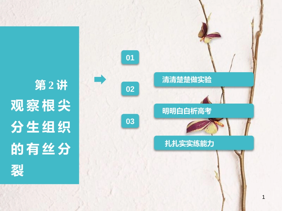 （全国通用版）2019版高考生物一轮复习 第1部分 分子与细胞 第四单元 细胞的生命历程 第2讲 观察根尖分生组织的有丝分裂课件_第1页