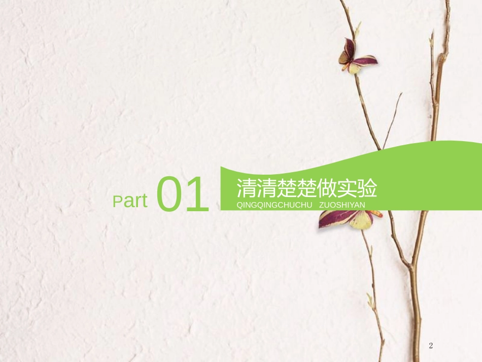 （全国通用版）2019版高考生物一轮复习 第1部分 分子与细胞 第四单元 细胞的生命历程 第2讲 观察根尖分生组织的有丝分裂课件_第2页