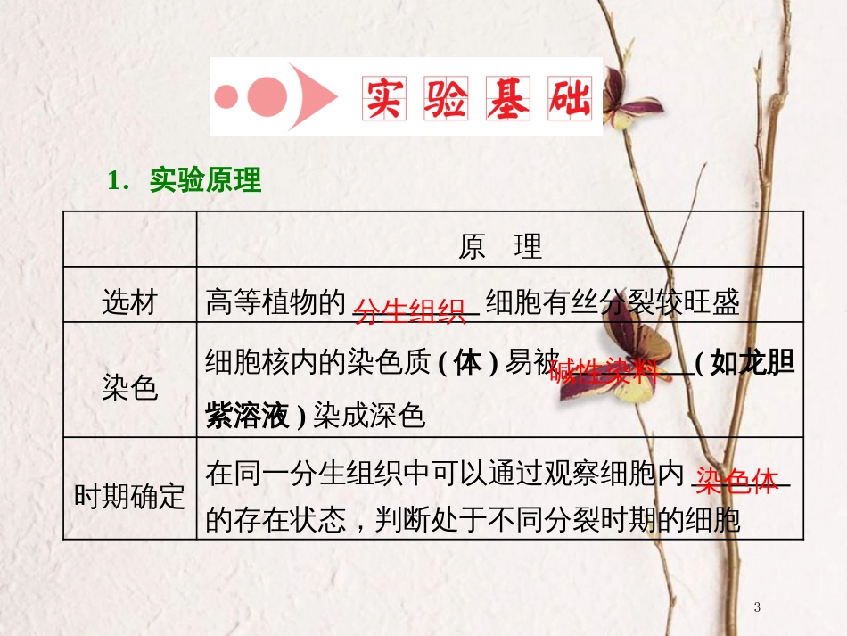 （全国通用版）2019版高考生物一轮复习 第1部分 分子与细胞 第四单元 细胞的生命历程 第2讲 观察根尖分生组织的有丝分裂课件_第3页