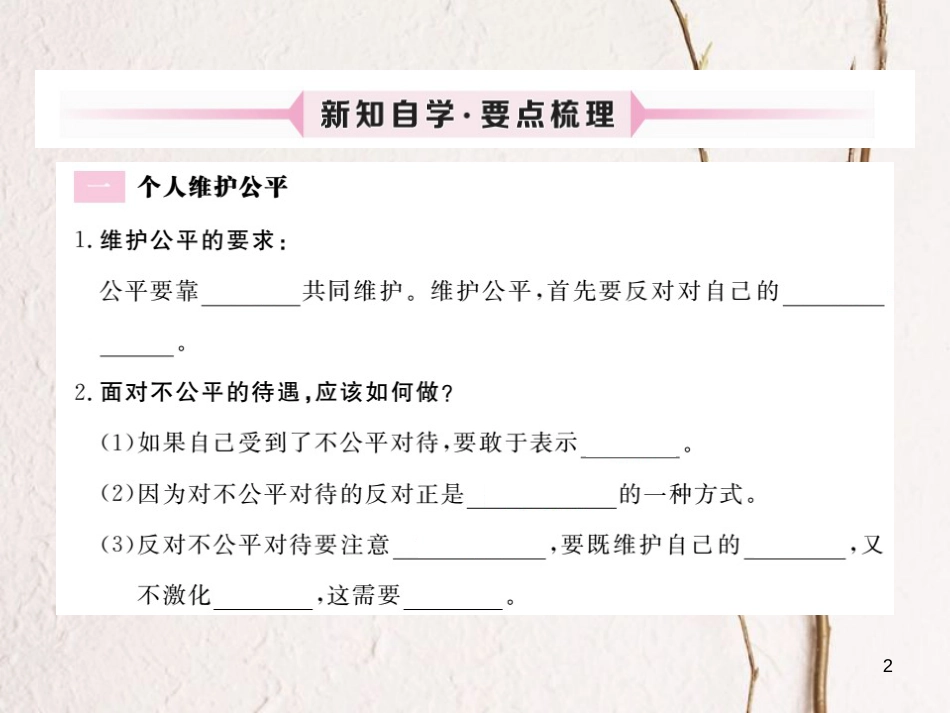 九年级政治全册 第二单元 共同生活 第六课 心中的天平 第2框 努力维护公平课件 人民版_第2页