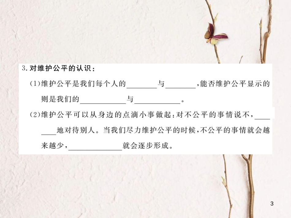 九年级政治全册 第二单元 共同生活 第六课 心中的天平 第2框 努力维护公平课件 人民版_第3页