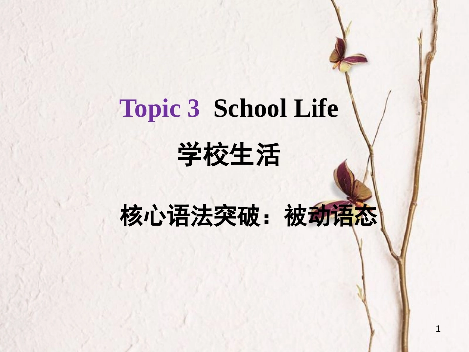 河北省中考英语总复习 Topic 3 School Life 2 被动语态课件_第1页