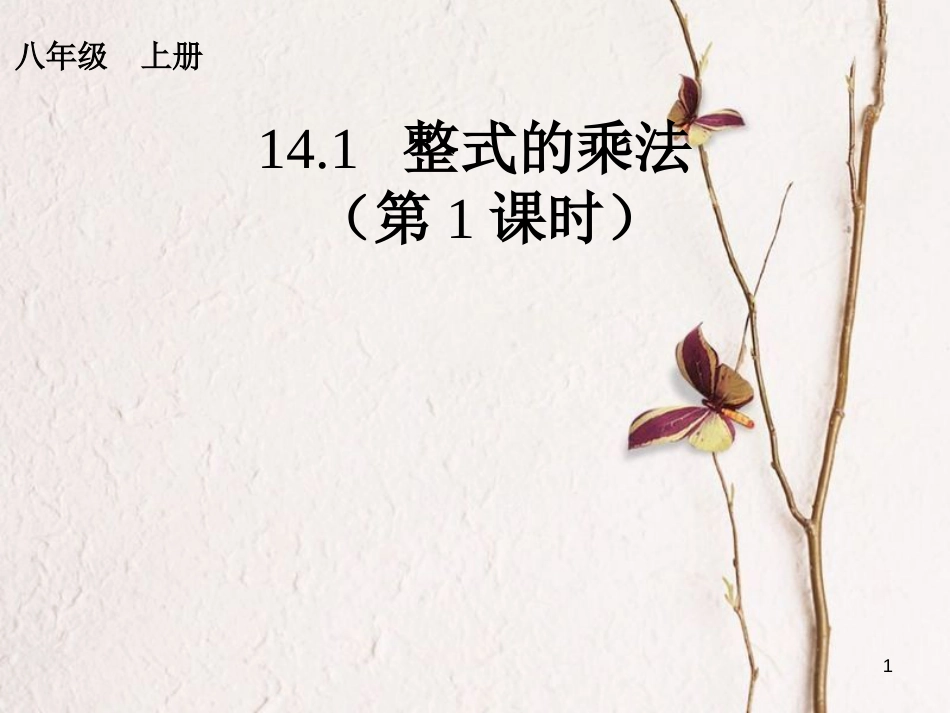 学年八年级数学上册 14.1 整式的乘法（1）课件 （新版）新人教版_第1页