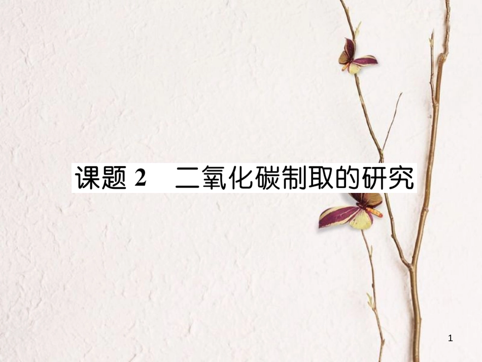 九年级化学上册 第6单元 碳和碳的氧化物 6.2 二氧化碳制取的研究作业课件 （新版）新人教版_第1页