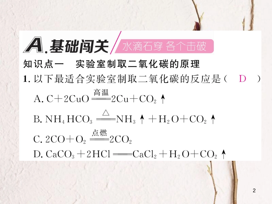 九年级化学上册 第6单元 碳和碳的氧化物 6.2 二氧化碳制取的研究作业课件 （新版）新人教版_第2页