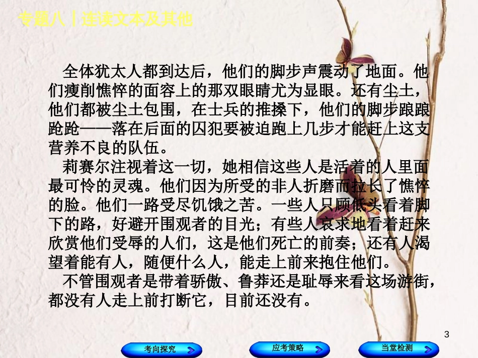 （浙江专版）中考语文 第2篇 现代文阅读 一 文学类文本阅读 专题八 联读文本及其他复习课件_第3页