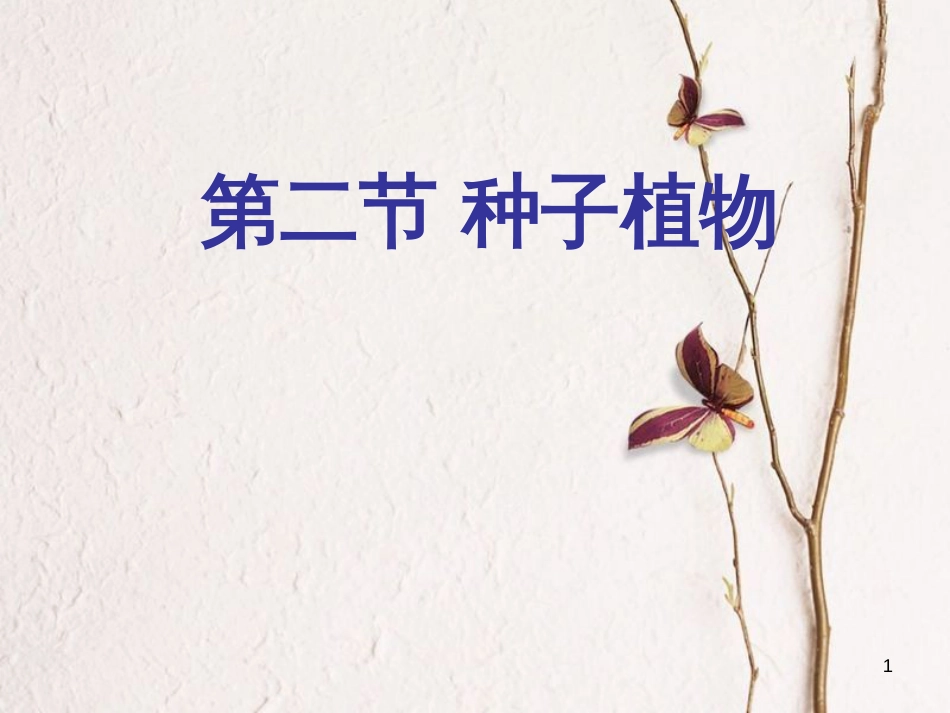 七年级生物上册 第三单元 第1章 第2节 种子植物课件 （新版）新人教版_第1页