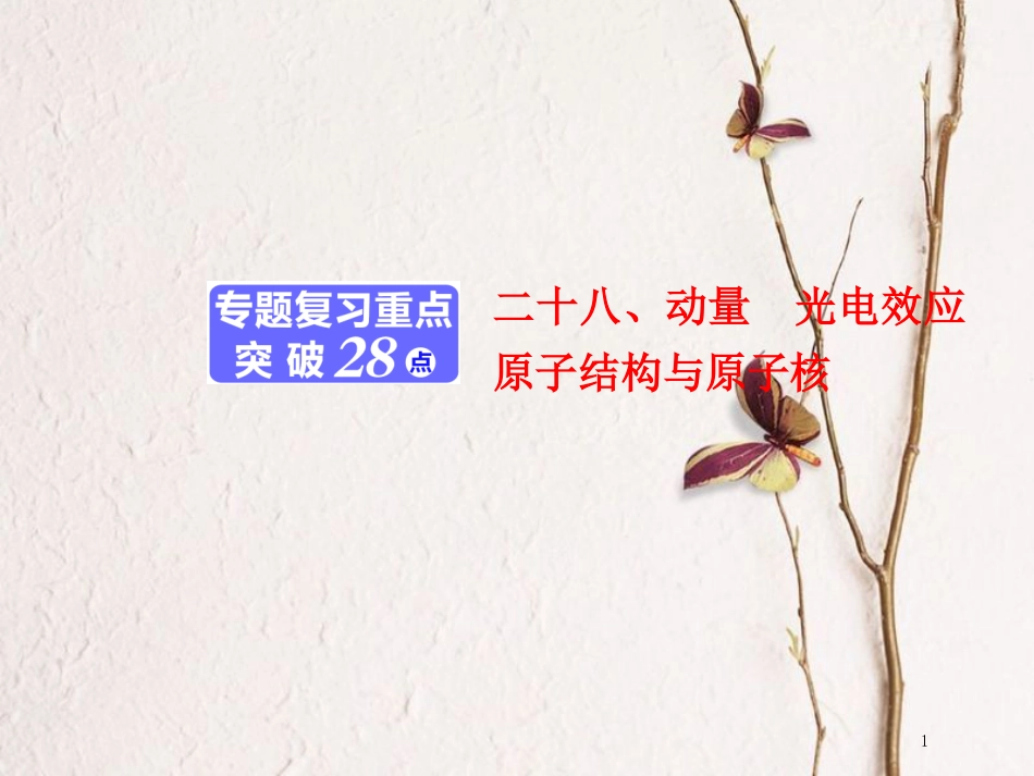 版高考物理二轮复习 第一部分 专题六 选考模块 二十八、动量 光电效应 原子结构与原子核课件_第1页