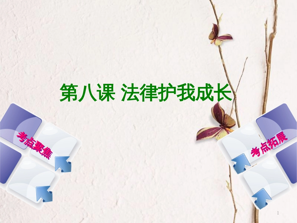 （呼和浩特专版）中考政治复习方案 第一部分 七下 第八课 法律护我成长课件_第1页