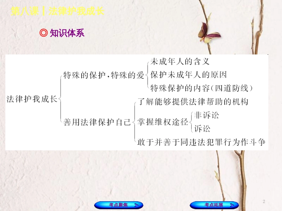 （呼和浩特专版）中考政治复习方案 第一部分 七下 第八课 法律护我成长课件_第2页