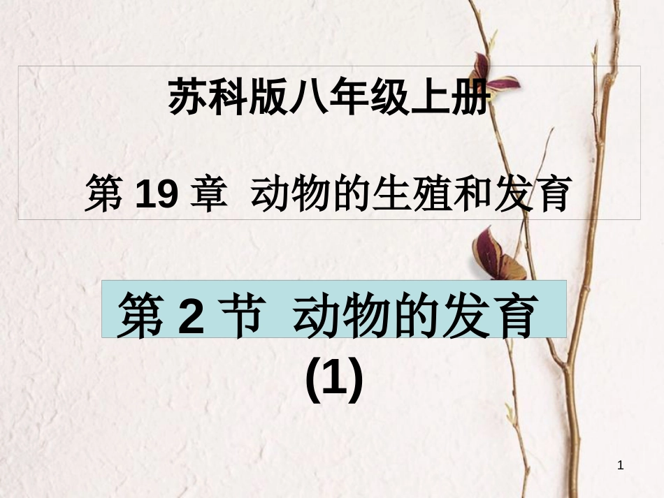 学年八年级生物上册 19.2 动物的发育课件1 苏科版_第1页