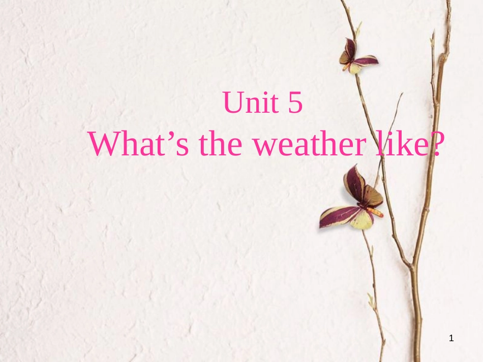 五年级英语下册 unit 5 what’s the weather like partc课件 陕旅版_第1页