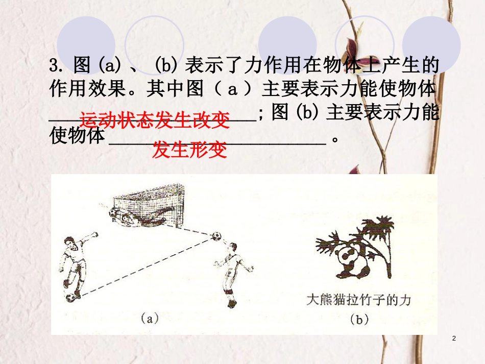 八年级物理下册 第七章 力复习课件 （新版）新人教版[共32页]_第2页