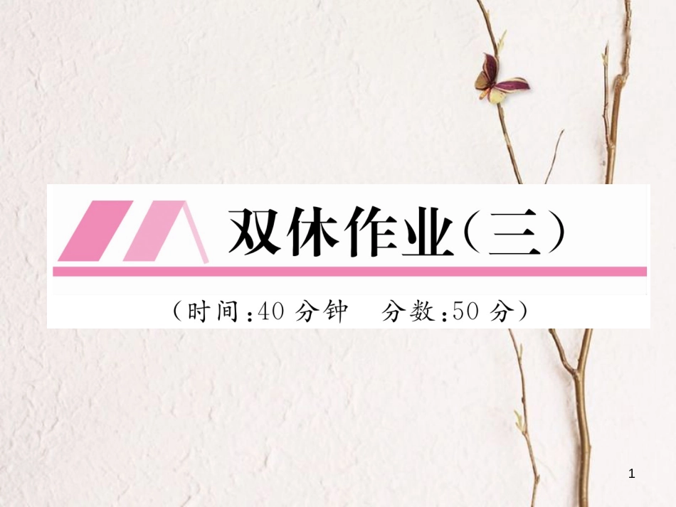 九年级化学下册 双休作业(三)作业课件 (新版)新人教版_第1页