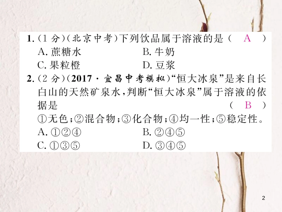 九年级化学下册 双休作业(三)作业课件 (新版)新人教版_第2页
