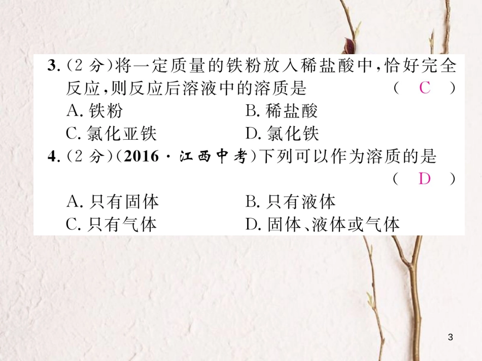 九年级化学下册 双休作业(三)作业课件 (新版)新人教版_第3页
