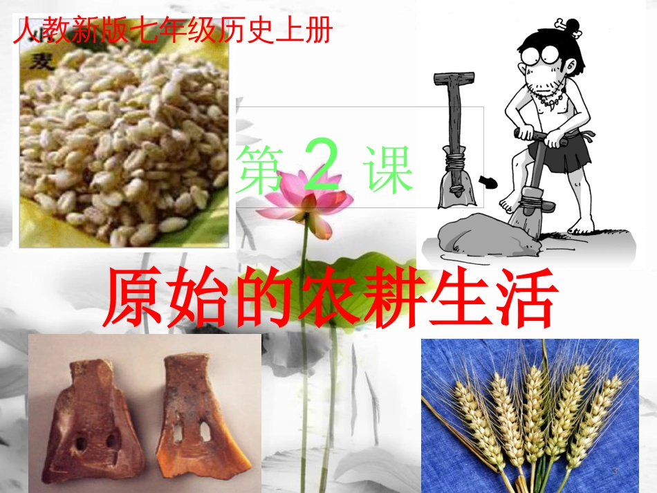 七年级历史上册 第1单元 史前时期 中国境内人类的活动 第2课 原始农耕生活课件 新人教版_第3页