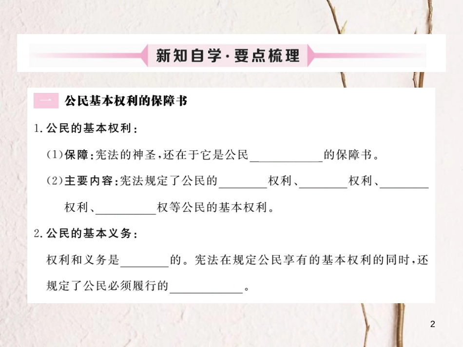 九年级政治全册 第三单元 法治时代 第七课 神圣的宪法 第2框 公民基本权利的保障书 更严格的制定与修改程序课件 人民版_第2页