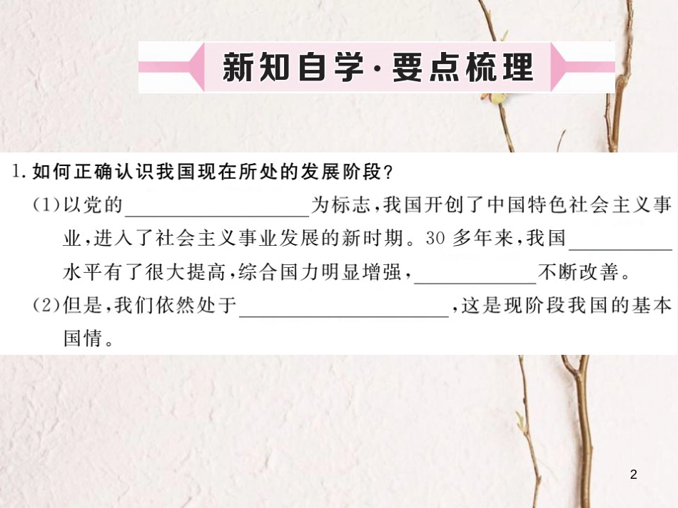 九年级政治全册 第五单元 国策经纬 第十四课《小平，您好》第1框《社会主义初级阶段》课件 教科版_第2页
