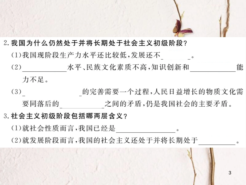 九年级政治全册 第五单元 国策经纬 第十四课《小平，您好》第1框《社会主义初级阶段》课件 教科版_第3页