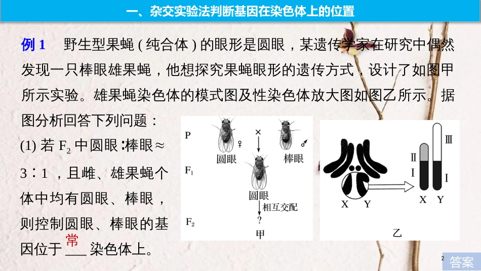 2019版生物高考大一轮复习 热点题型九 基因在染色体的位置判断课件 北师大版_第2页