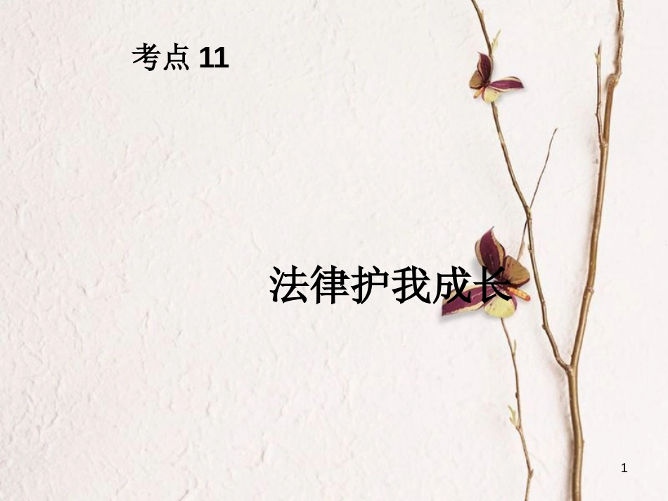 江苏省徐州市中考政治复习 考点11 法律护我成长课件_第1页