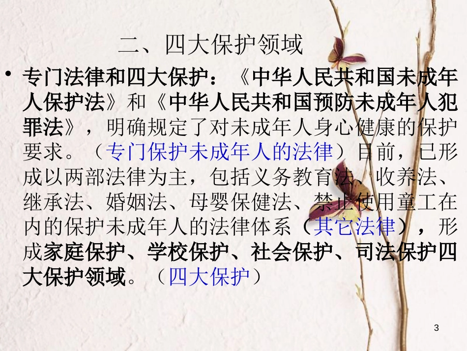 江苏省徐州市中考政治复习 考点11 法律护我成长课件_第3页