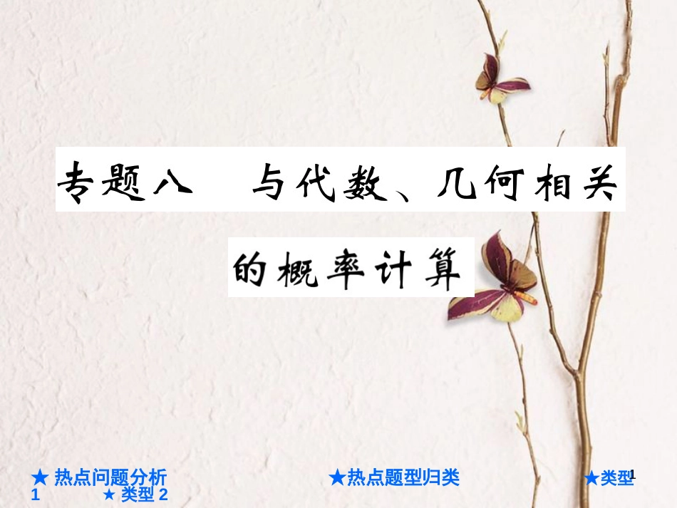 中考数学总复习 第二部分 重点专题提升 专题八 与代数、几何相关的概率计算课件_第1页