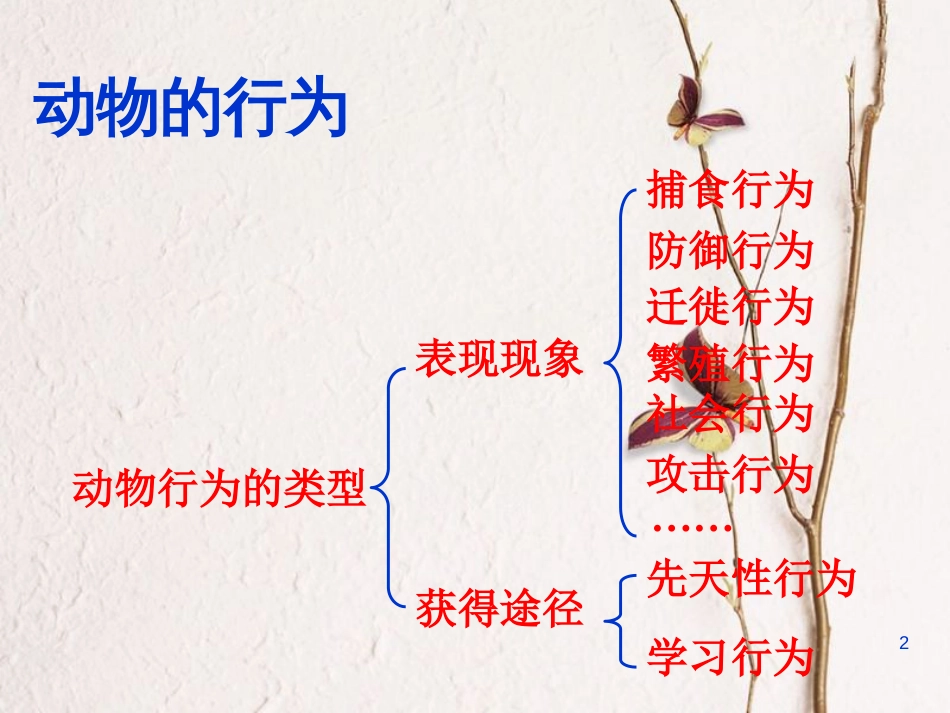 陕西省石泉县八年级生物上册 5.2.2先天性行为和学习行为课件 （新版）新人教版_第2页