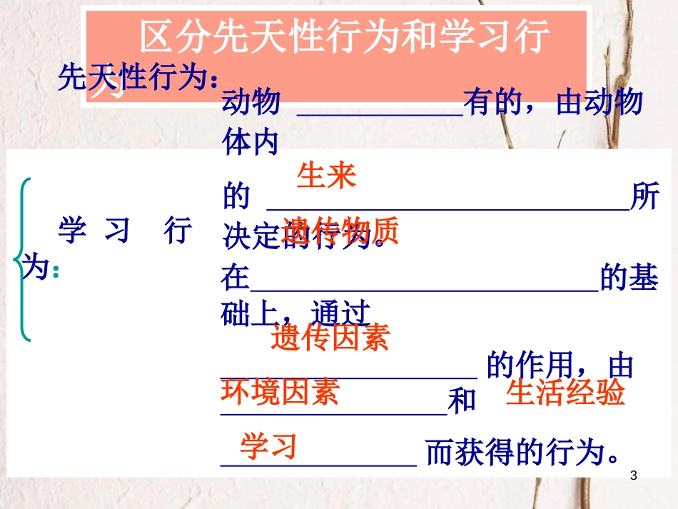 陕西省石泉县八年级生物上册 5.2.2先天性行为和学习行为课件 （新版）新人教版_第3页