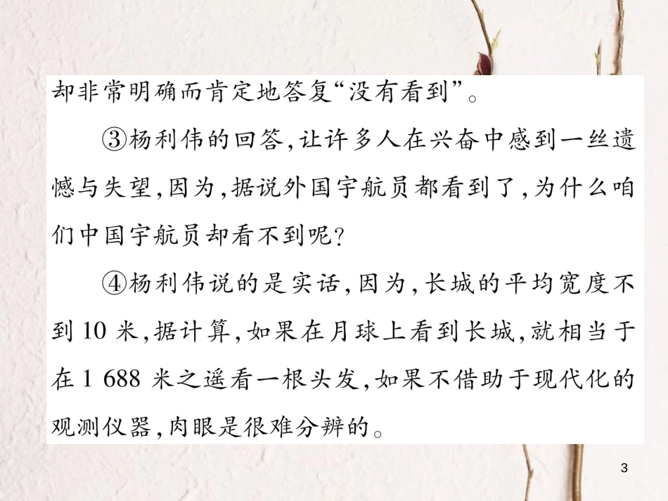 七年级语文下册 双休作业（十一）课件 新人教版_第3页