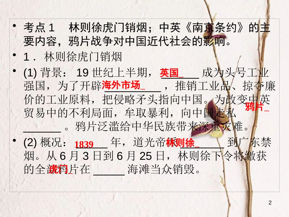 广东省年中考历史复习 第1轮 单元过关 夯实基础 考点晚诵 模块2 中国近代史 第1单元 列强的侵略与中国人民的抗争课件_第2页