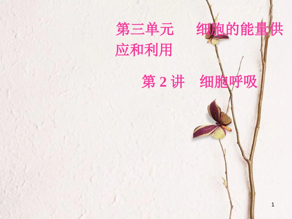 2019版高考生物总复习 第三单元 细胞的能量供应和利用 第2讲 细胞呼吸课件_第1页