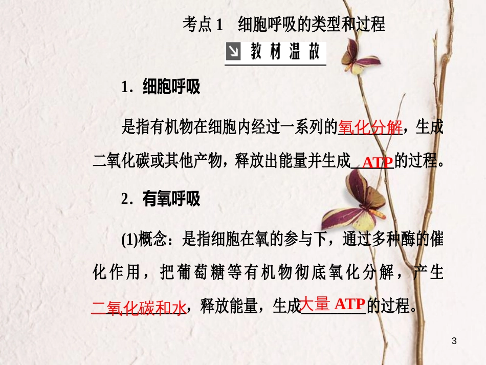 2019版高考生物总复习 第三单元 细胞的能量供应和利用 第2讲 细胞呼吸课件_第3页