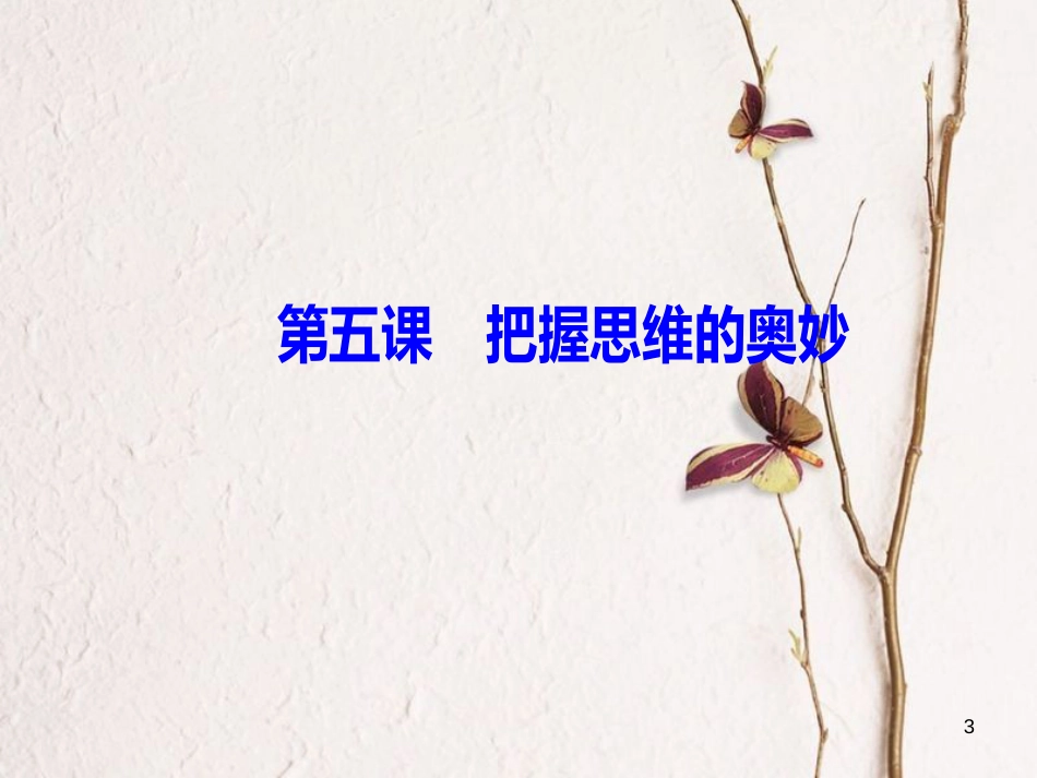 2019版高考政治总复习 第二单元 探索世界与追求真理 第五课 把握思维的奥妙课件 新人教版必修4_第3页