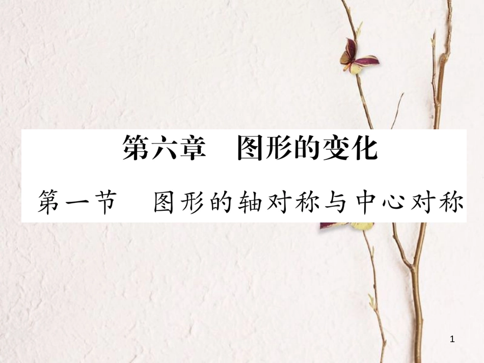 （青海专版）中考数学复习 第1编 教材知识梳理篇 第6章 图形的变化 第1节 图形的轴对称与中心对称（精讲）课件_第1页