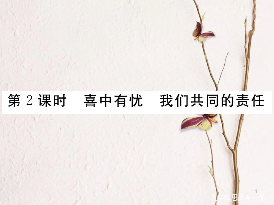 九年级政治全册 第三单元 法治时代 第八课 依法治国 第2框 喜中有忧 我们共同的责任课件 人民版_第1页