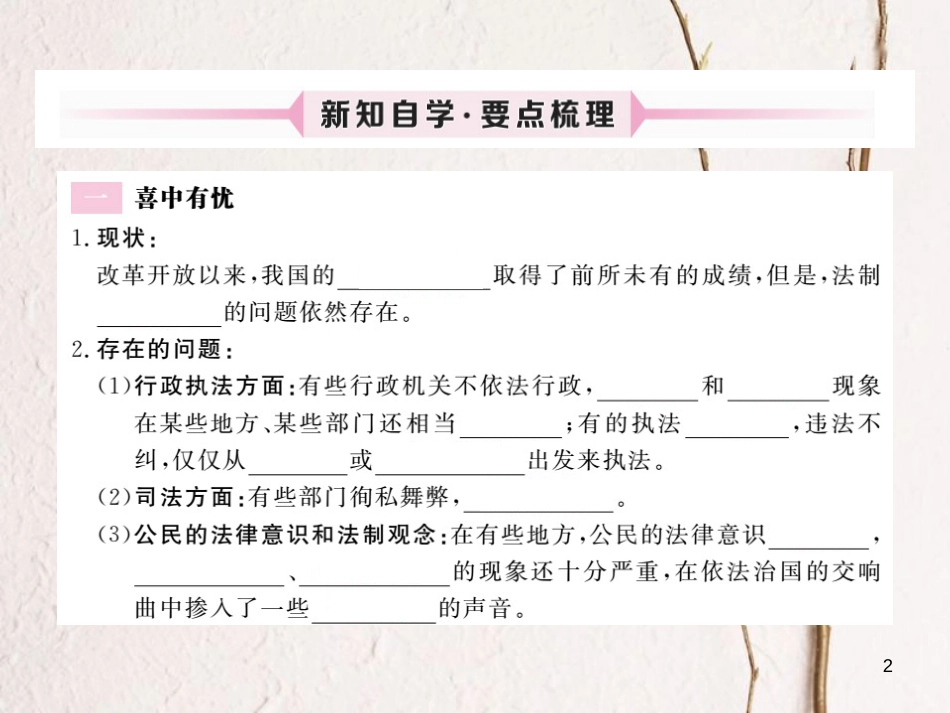 九年级政治全册 第三单元 法治时代 第八课 依法治国 第2框 喜中有忧 我们共同的责任课件 人民版_第2页