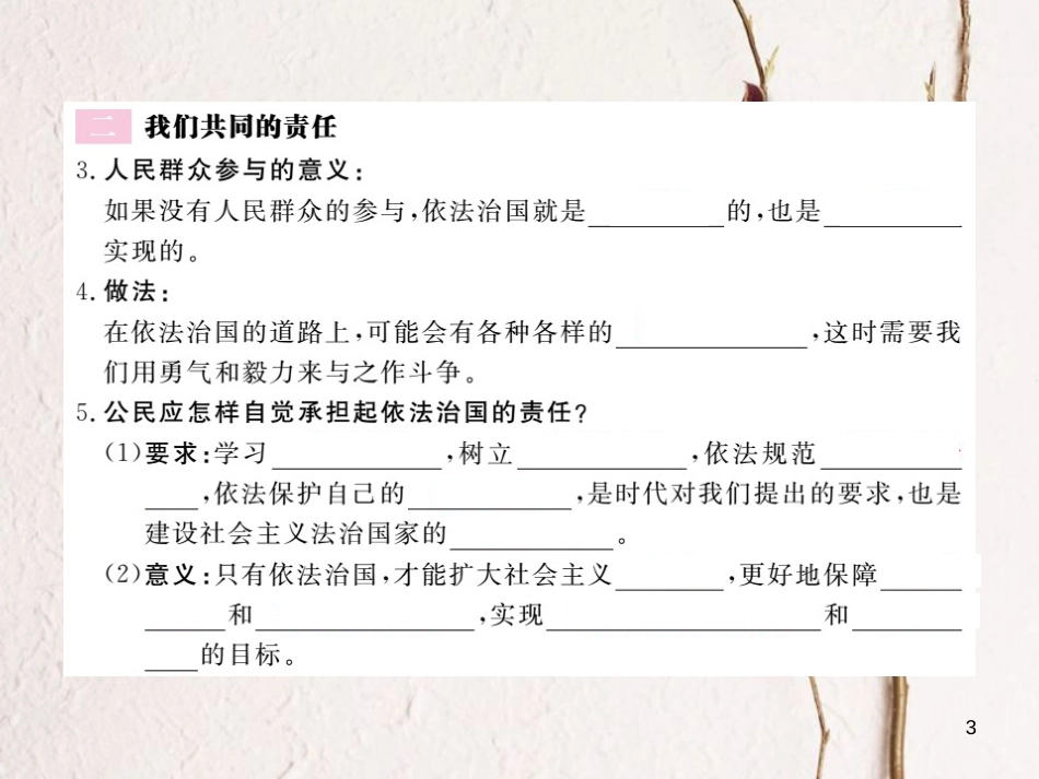 九年级政治全册 第三单元 法治时代 第八课 依法治国 第2框 喜中有忧 我们共同的责任课件 人民版_第3页