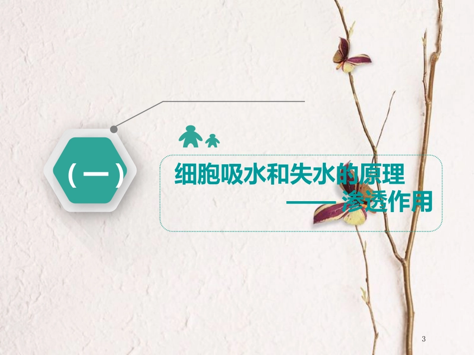 （全国通用版）2019版高考生物一轮复习 第1部分 分子与细胞 第二单元 细胞的结构和物质的输入与输出 第3讲 物质跨膜运输的实例和方式课件_第3页