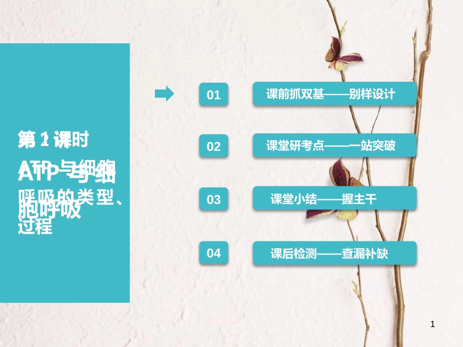 （全国通用版）2019版高考生物一轮复习 第1部分 分子与细胞 第三单元 细胞的能量供应和利用 第2讲 第1课时 ATP与细胞呼吸的类型、过程课件_第1页
