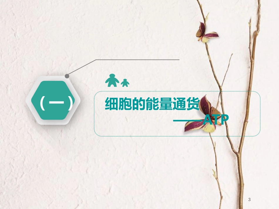 （全国通用版）2019版高考生物一轮复习 第1部分 分子与细胞 第三单元 细胞的能量供应和利用 第2讲 第1课时 ATP与细胞呼吸的类型、过程课件_第3页