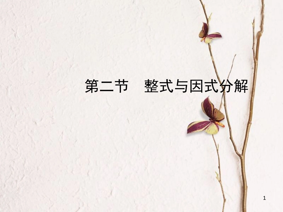 河北省中考数学总复习 第一章 数与式 第二节 整式与因式分解课件_第1页