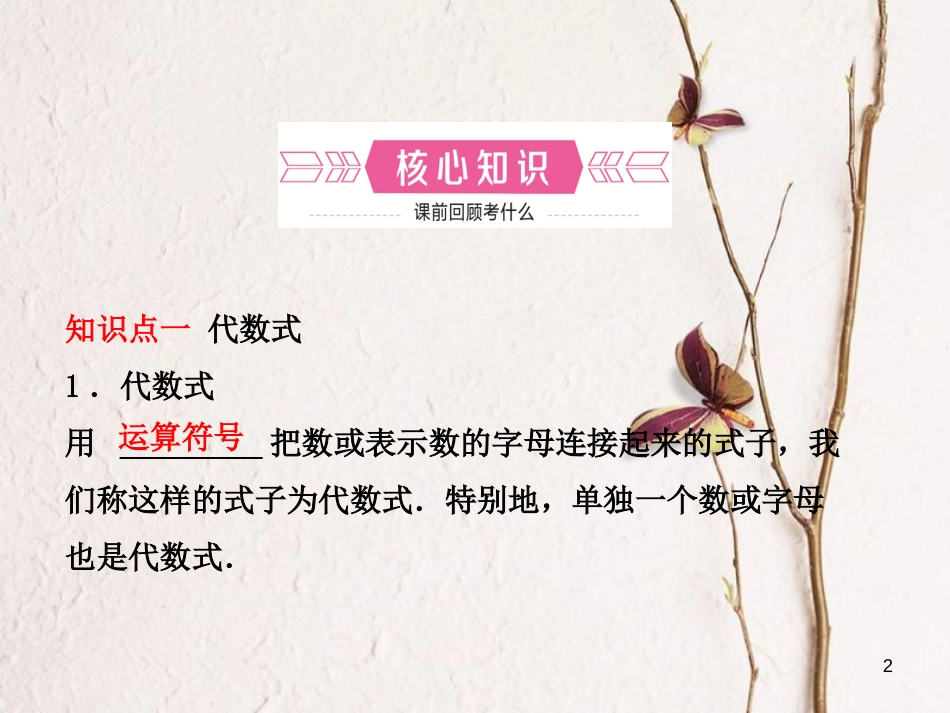 河北省中考数学总复习 第一章 数与式 第二节 整式与因式分解课件_第2页