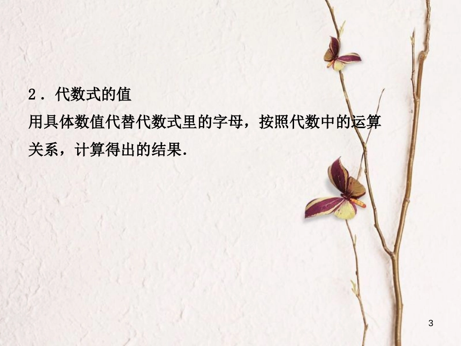 河北省中考数学总复习 第一章 数与式 第二节 整式与因式分解课件_第3页