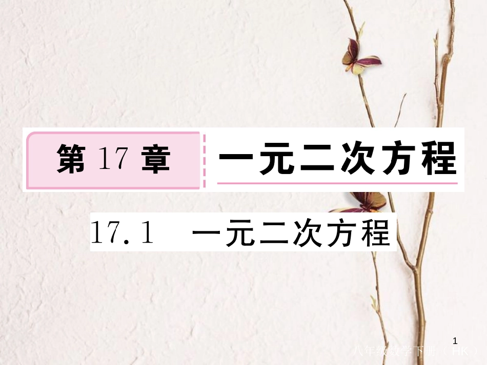 八年级数学下册 第17章 一元二次方程 17.1 一元二次方程练习课件 （新版）沪科版_第1页