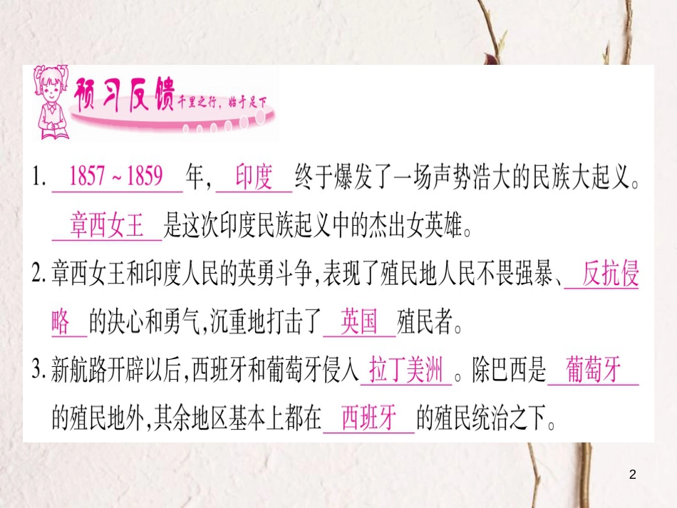 （广西专版）九年级历史上册 第16课 殖民地人民的抗争习题课件 新人教版_第2页