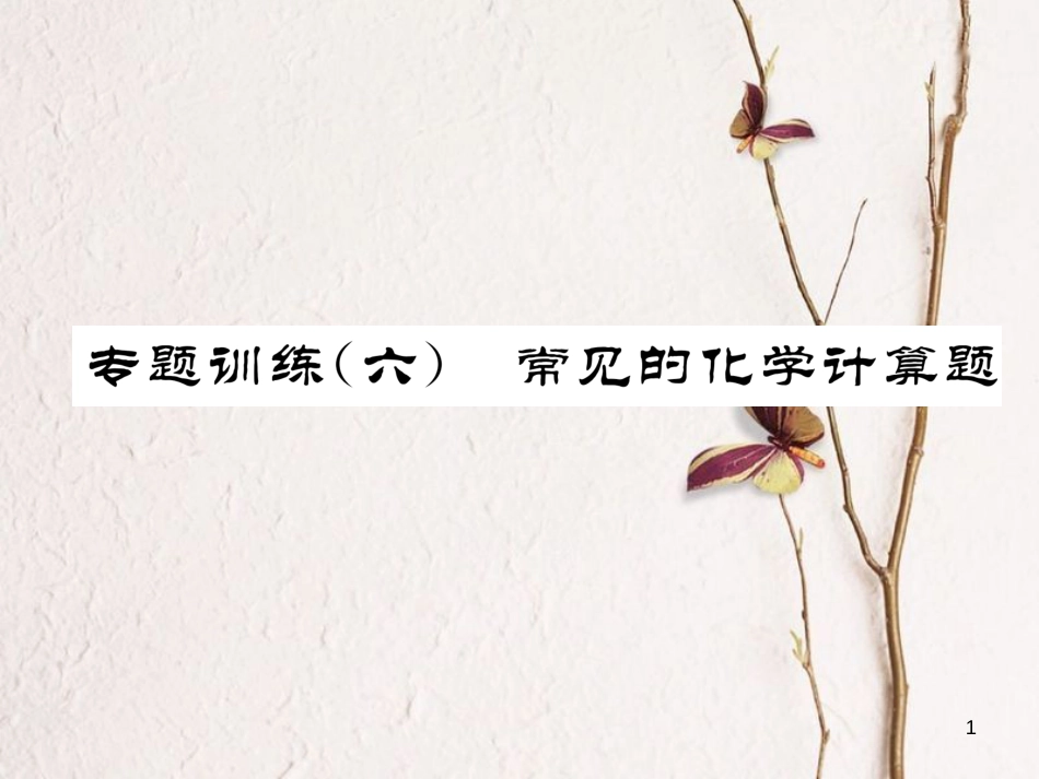 九年级化学下册 专题训练6 常见的化学计算题作业课件 （新版）新人教版_第1页