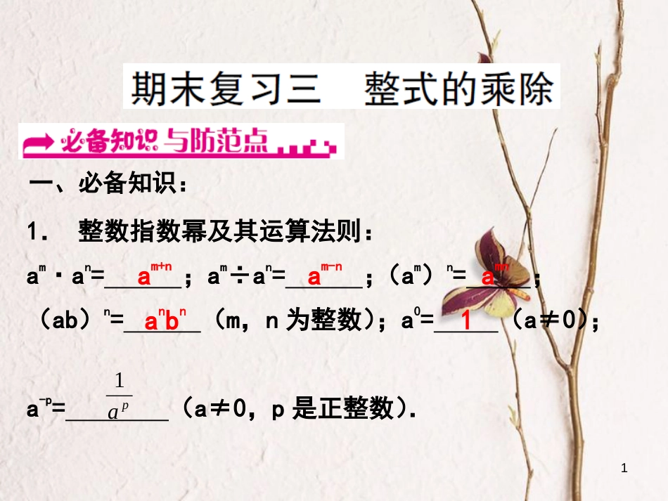 浙江省嘉兴市秀洲区七年级数学下册 期末复习三 整式的乘除习题课件 （新版）浙教版_第1页