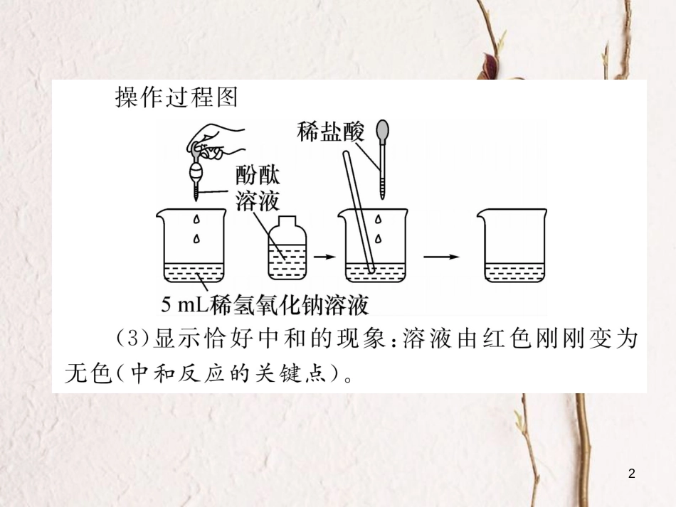 （青海专版）中考化学复习 第1编 教材知识梳理篇 第10单元 酸和碱中考实验突破（精讲）课件_第2页